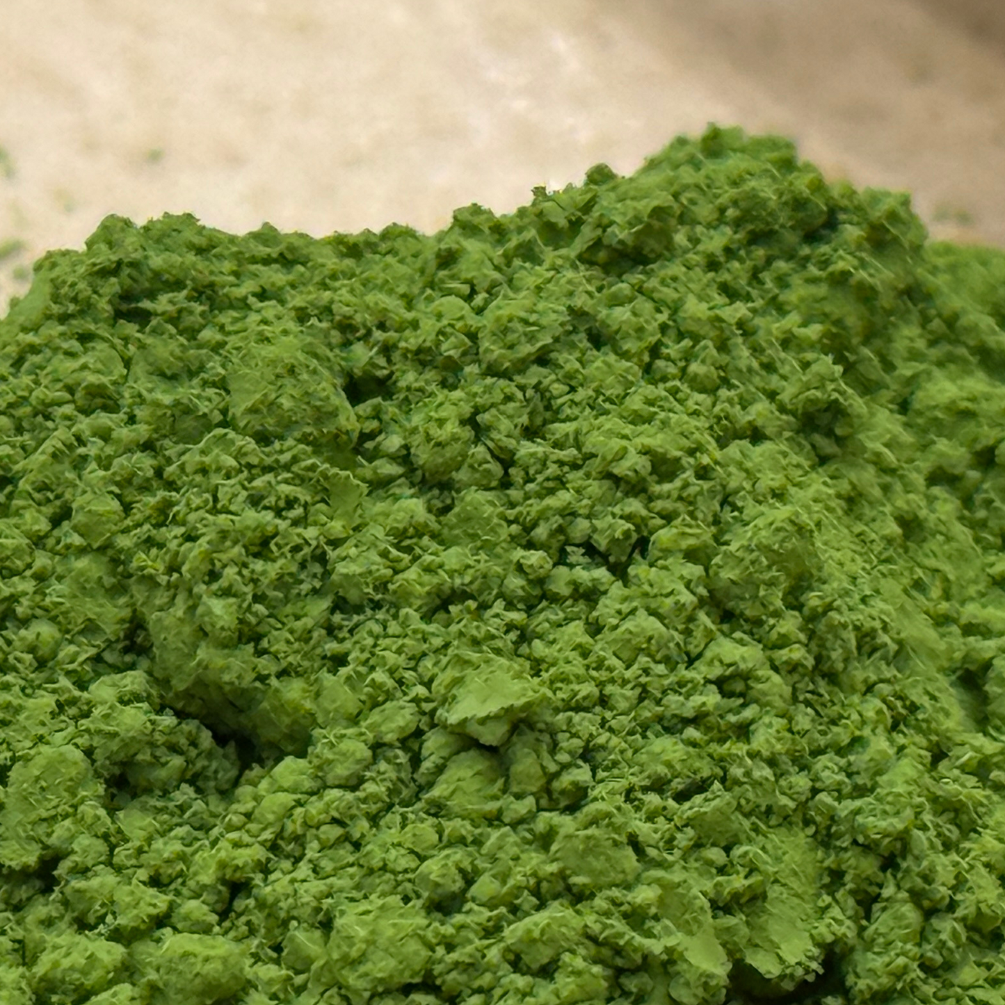 抹茶(10kg) / Premium Matcha Powder – 10kg (International Wholesale)